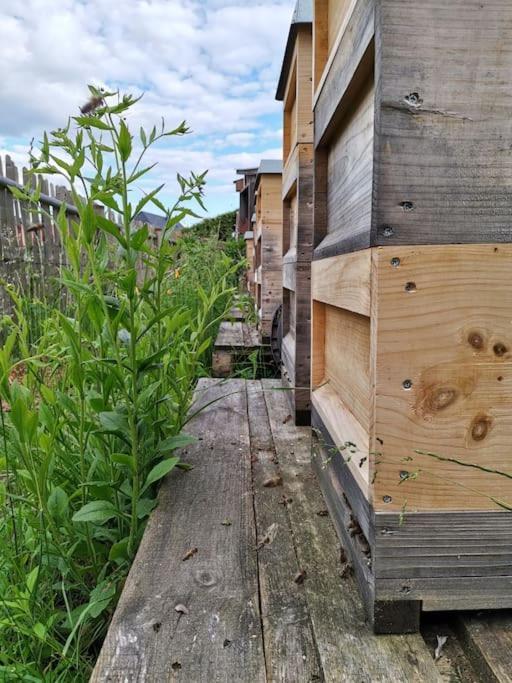 Fewo "Am Bienenstock" In Dallgow-Doberitz Exterior foto